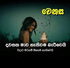 Pin On Sinhala Quotes