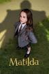 Matilda the Musical