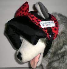 Pin On Mission Pawsable K 9 Apparel By Lena