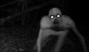 Gambar hantu pocong gambar hantu. Terbaru 21 Foto Pocong Seram Bergerak Arka Gambar