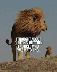 Lester Dreyer (dreyerlester53)