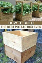 For those of us that live in areas where it gets really dry, this little diy grow box can make growing humidity. 100 Diy Grow Box Ideas In 2021 Grow Boxes Growing Vegetables Vegetable Garden