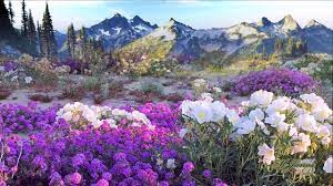 Mike oldfield | length : Flowers Of The Forest Mike Oldfield Youtube