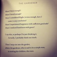 By Mary Oliver Mary Oliver Poems My Children Quotes Cool Words
