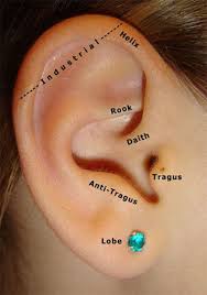 Pin By Maddie Cottone On Piercings Piercing Types Of Ear Piercings Tragus