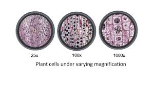 Maybe you would like to learn more about one of these? Unit 2cell Structure Microscopy Understanding What Cells Are Cell Types Prokaryotes Vs Eukaryotes Plant Vs Animal Cells Cell Organelles Organs Of Ppt Download