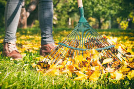To cut grass using a machine: Do You Really Need To Rake Up Leaves Chatelaine