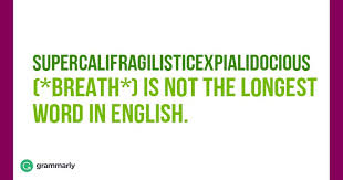 10 Interesting Facts About The English Language That You Didn T Know Longest Word In English English Language 10 Interesting Facts