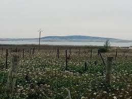Achat Terrain Marseillan 34340 A 95 135 6168209 En 2020 Vente Terrain Marseillan Achat Terrain