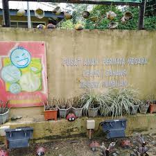 Untuk pengetahuan pembaca semua selain 80 pusat asuhan permata negara (papn) yang dikendalikan 100 % oleh program permata negara,terdapat lebih 600 pusat asuhan kemas dan lain lain yang dijadikan anak angkat dan dikendalikan kemas dan kerajaan negeri masing masing. Pusat Anak Permata Negara Papn Rahang School In Seremban