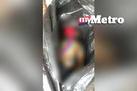 We did not find results for: Penang Kini Lemas Terjun Dari Jambatan Pulau Pinang Facebook