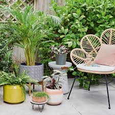 Create a membership account to save your garden designs and to view them on any device. Grassless Garden Ideas No Mow Alternatives To Lawn And Turf That Are Easy To Look After