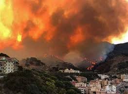 Catania, l'incendio è fuori controllo. Brucia Ancora La Sicilia Canadair In Azione A Troina Incendi A Catania E Trapani Gazzetta Del Sud