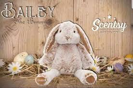 Bailey the Bunny