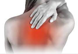 The muscles of the back can be divided in three main groups according to their anatomical position and function. Upper Back Pain Scottsdale Az Orthopedic Spine Surgery