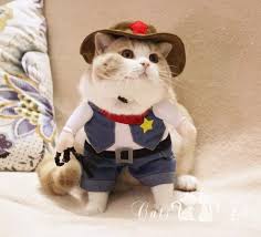 This character belongs to @dedeur. Popular Pet Cat Costume Funny West Cowboy Pet Dog Clothes Kitty Suit Clothing With Hat Small Pet Supplies D084 Cat Costume Pet Cat Costumesfunny Cat Costumes Aliexpress