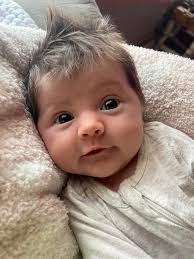 Linda Pinkham's Instagram, Twitter & Facebook