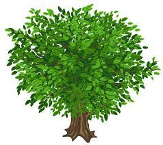 Gallery Recent Updates Tree Art Green Trees Clip Art