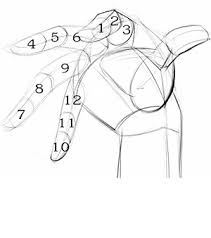 How To Draw Hands From Imagination Step By Step Proko The points are as shown below this is done using the minmaxloc function in opencv. how to draw hands from imagination