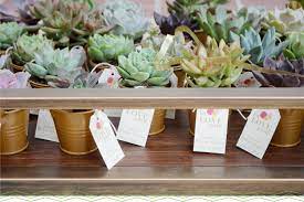Care instructions are included with your plant. 11 Adorable Mini Succulents Uses Growing Tips Proflowers Blog