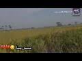 الفنان متعب الصقار من أشهر المطربيين الأردنيين. Ù…ØªØ¹Ø¨ Ø§Ù„ØµÙ‚Ø§Ø± 2020 Mp3