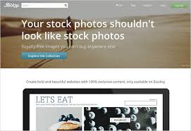 The stock photo industry, which began to gain hold in the 1920s, has established models including traditional macrostock photography, midstock photography, and microstock photography. Stocksy United A Photographer S Review Petapixel