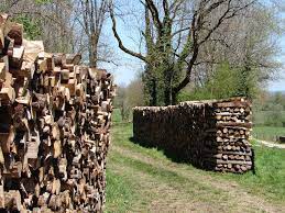 Si vous faites partie des 7 millions de foyers chauffés au bois, vous allez sûrement vous faire livrer quelques stères de bois. Bois De Chauffage Corde Stere M3 Quelle Unite De Vente Pour Le Bois De Chauffage