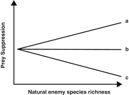 Top bird nest removal 14059 companies. Alien Insects And Insect Conservation Springerlink
