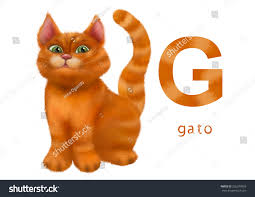 Accent the correct way of pronouncing this difficult sound of the spanish alphabet. Cartoon Illustration Colorful Spanish Alphabet Alfabeto Stock Illustration 226379059 Shutterstock