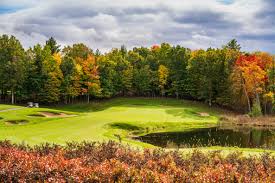 Golf course surrounded by forest near Grand Rapids