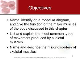 Human muscle system, the muscles of the human body that work the skeletal system, that are under voluntary control, and that are concerned with movement, posture, and balance. Chapter 8 The Muscular System Mosby Items And
