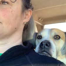 Has anyone tried LED light therapy to stimulate brain healing?