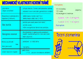 Nor does it specify the type of. Mechanicke Vlastnosti Kostni Tkane Fakulta Telesne Vychovy