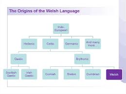 In the north and west, many people are welsh and english bilinguals. The Welsh Language In Contemporary Wales Prezentaciya Onlajn