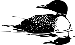Loon Coloring Pages Food Ideas Bird Silhouette Tattoos Bird Silhouette Loon Tattoo