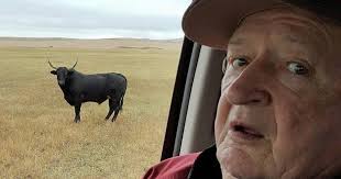 Locals to be inducted into cowboy hall of fame