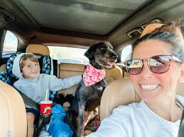 Erin Gillespie (@momma_gillespie_2_3) • Instagram photos and videos