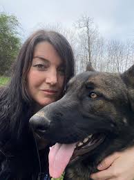 Saw two German shepherds at Salem and Simmons. Puppy and older dog.