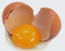 Fenomena telur ayam pecah yang menjadi primadona ternyata menyimpan kekhawatiran dari segi kesehatan. Tahukah Kamu Sains