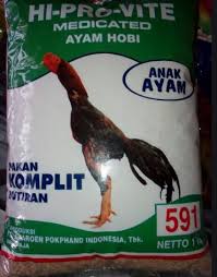 Pakan Ayam Bangkok Agar Cepat Besar Pada Setiap Tingkatan Umur
