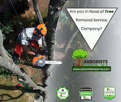 Local Tree Removal Companies Near Me Tree Removal Tree Removal Service Tree Service