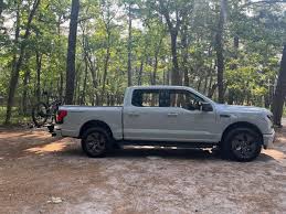 Image result for Avalanche 2024 Lightning