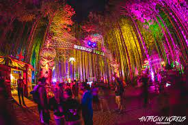 Electric Forest 2022 Schedule Electric Forest 2022 Dates Are Here - Dancing Astronaut : Dancing Astronaut