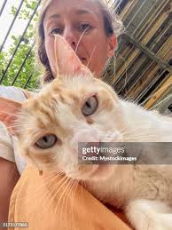 437 Funny Woman Holding Cat Stock Photos, High-Res Pictures, and Images