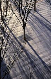 Keyaki Hiroba Plaza Landscape Architecture Architecture Design Competition Landscape Architecture Design