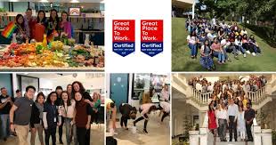 Their vibrant setting is brought to the fore with an. Working At Novotech Novotech Cro