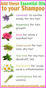 Sandalwood oil helps with dry ends, and adds fragrance to the hair. 7 Essential Oils To Add To Your Shampoo For Beautiful Hair The Miracle Of Essential Oils