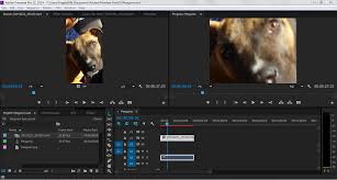 When i put in my source clip, and then drag it down the timeline all is good until i see the video in the other window(program without knowing that, i can only suggest the following: Solved Program Panel Only Displays Zoomed In Video Adobe Support Community 6814045
