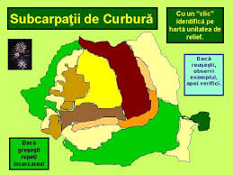 Required fields are marked * Relieful Romniei Delta Dunrii Cmpia Romn Cmpia De