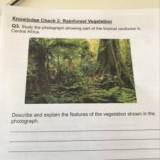 In fact, some finds, such as fossil remains of marsupials in. Descrieb Features Of Vegetation Shown In The Picture Brainly Com